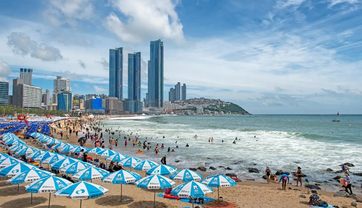 Beach umbrellas, swimmers and the Haeundae skyline beside the sea in Busan