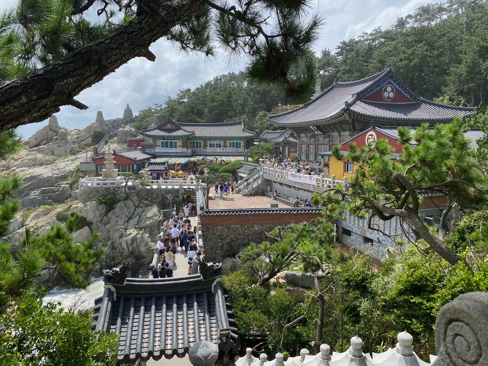 Haedong Yonggungsa Temple and its footbridge on coastal rocks, framed by pine trees